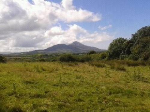 Nephin Lodge Westport Kamer foto